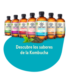 KOMBUCHAS DELICIOSAS Y 100% NATURALES
