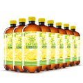 GUTsy Captain Kombucha | SUMMER LEMONADE| Limonada 8x1L