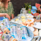 GUTsy Captain Kombucha - Pack Multisabor Lata 20x250mL