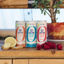 GUTsy Captain Kombucha Zero Frambuesa Lata 20x250mL