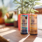 GUTsy Captain Kombucha - Pack Multisabor Lata 20x250mL